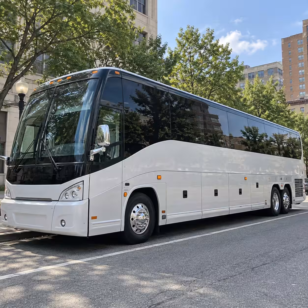 lake forest field trip transportation to the oc zoo